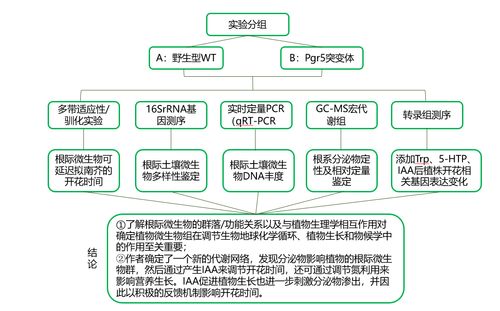 1.了解设计过程